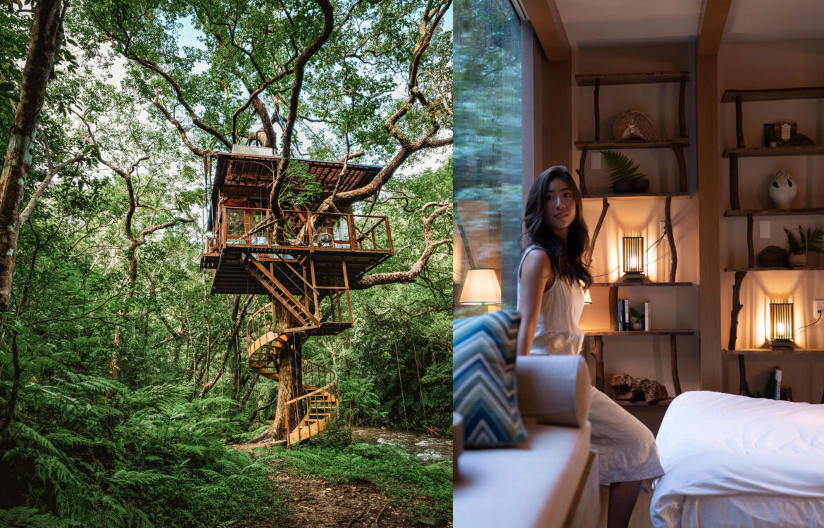 The TravelCenter - Booking 24 hours a day - The place to hire treehouses in U.S., Japan, Australia...